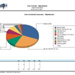 Graphic-Year-to-Date-by-Insurance-Adjustments_Lg.jpg